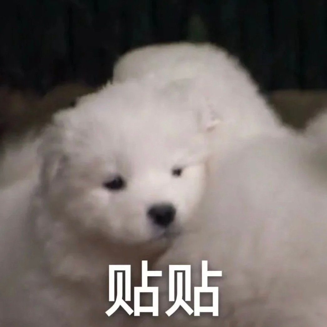 贴贴发表情gif搞笑图片