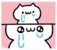 w(流泪了)发表情gif搞笑图片