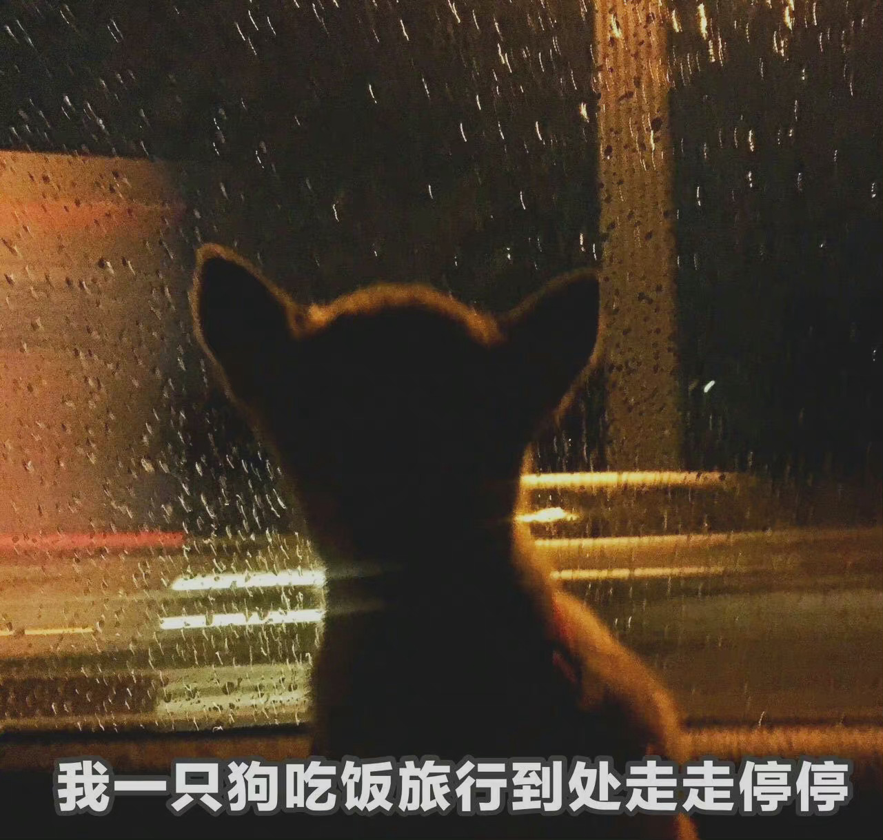 我一只狗吃饭旅行到处走走停停发表情gif搞笑图片