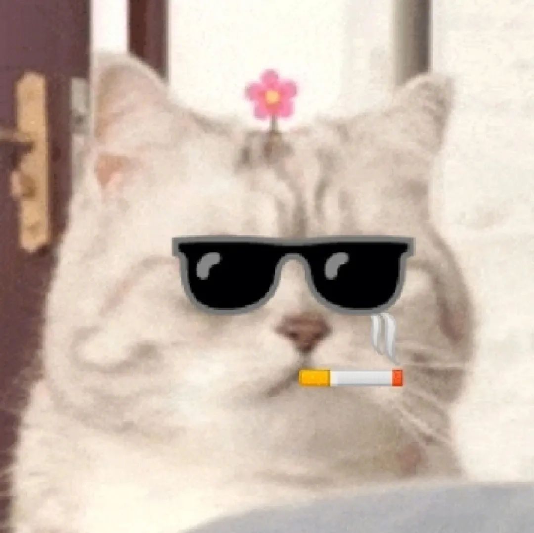 微笑小猫表情包 戴墨镜发表情gif搞笑图片