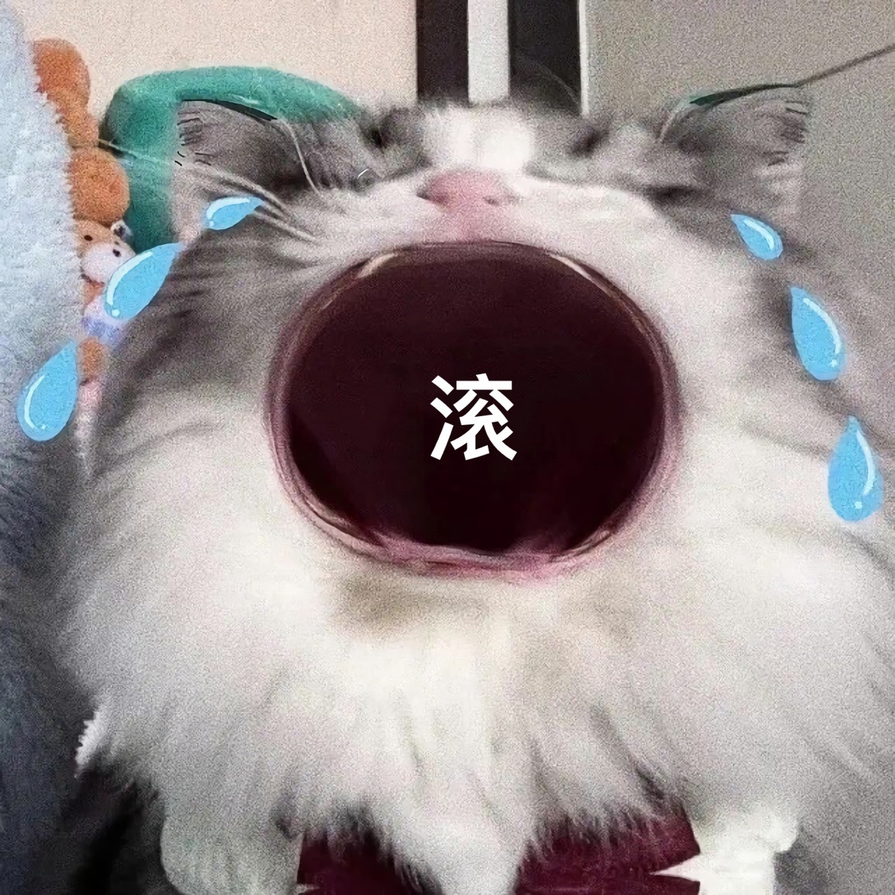 滚发表情gif搞笑图片