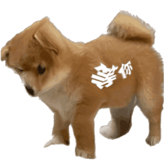 你发表情gif搞笑图片