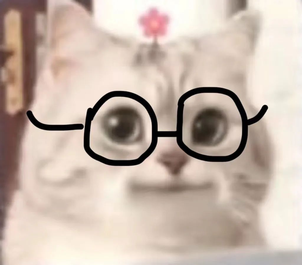 微笑小猫表情包 戴眼镜发表情gif搞笑图片