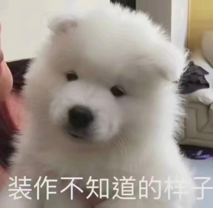 装作不知道的样子发表情gif搞笑图片