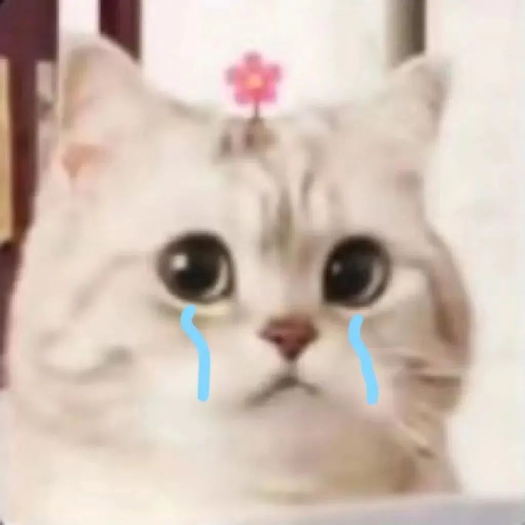 微笑小猫表情包 流泪发表情gif搞笑图片