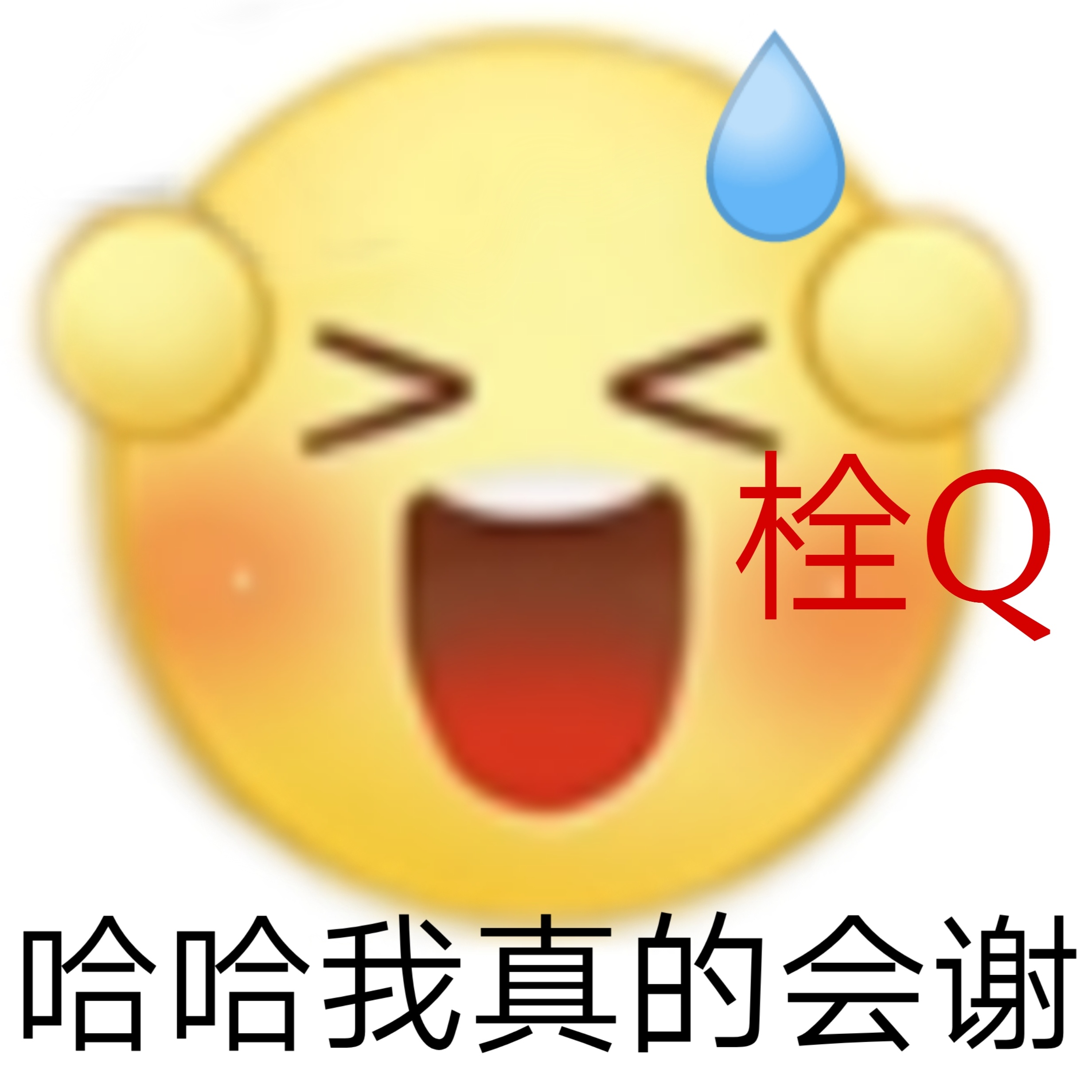 栓Q哈哈我真的会谢发表情gif搞笑图片