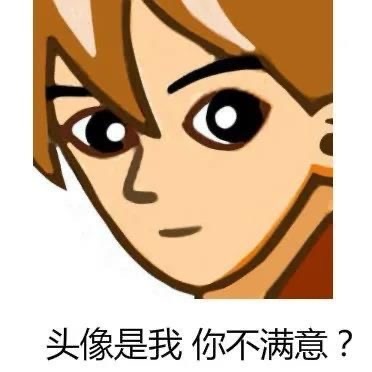 头像是我你不满意?发表情gif搞笑图片
