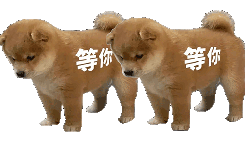 等你等你发表情gif搞笑图片