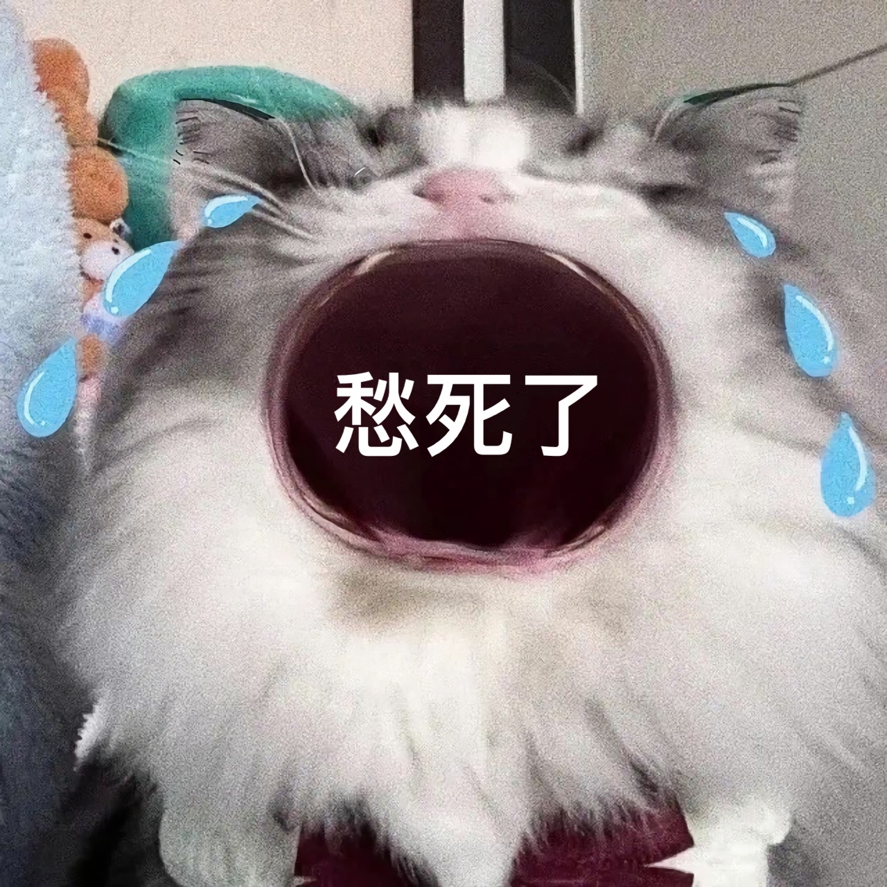 愁死了发表情gif搞笑图片