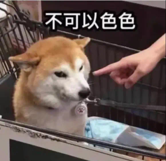 不可以色色发表情gif搞笑图片