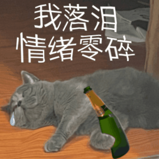 我落泪情绪零碎发表情gif搞笑图片