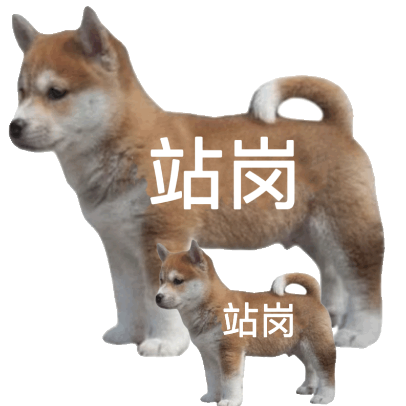 站岗站岗发表情gif搞笑图片