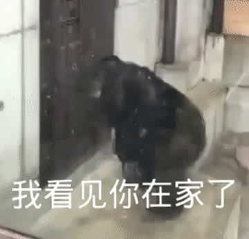 快点开门发表情gif搞笑图片