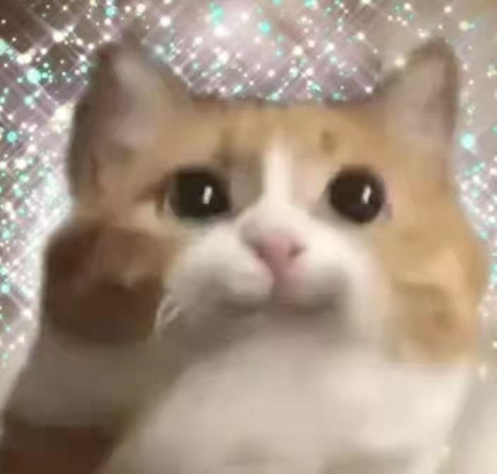 猫猫头表情包发表情gif搞笑图片