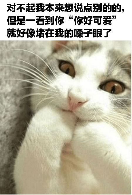 对不起我本来想说点别的的,但是一看到你“你好可爱”就好像堵在我的嗓子眼了发表情gif搞笑图片