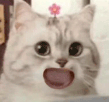 微笑小猫表情包 咧嘴发表情gif搞笑图片