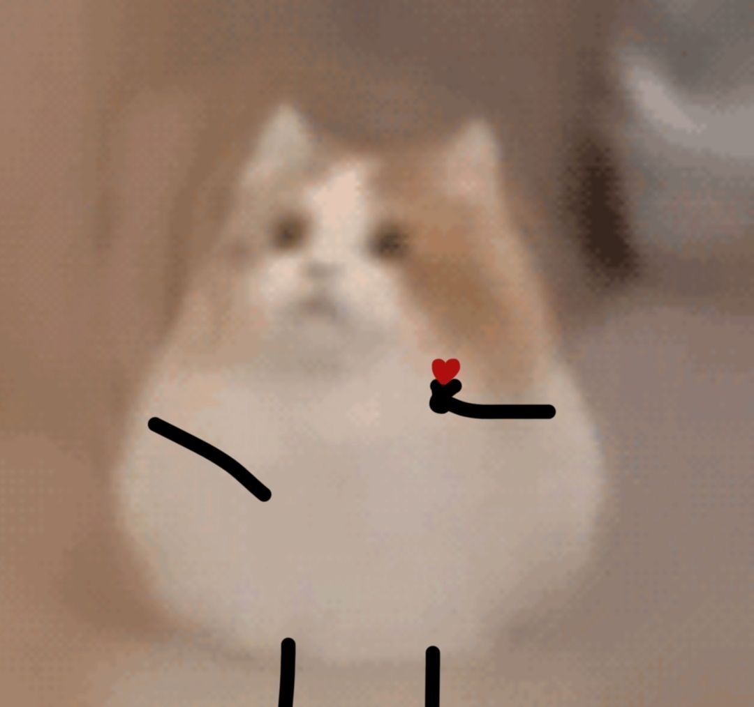 (给你小心心)发表情gif搞笑图片