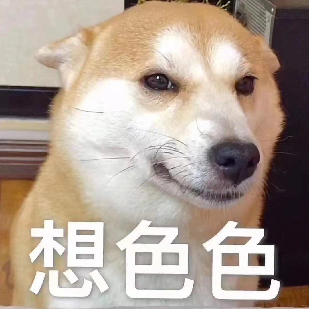 想色色发表情gif搞笑图片