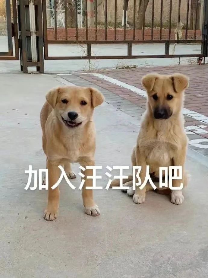 加入汪汪队吧发表情gif搞笑图片