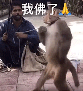 我佛了发表情gif搞笑图片