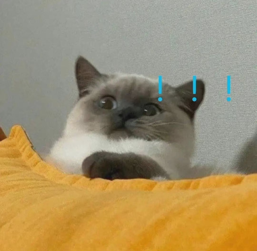 (猫咪震惊)发表情gif搞笑图片