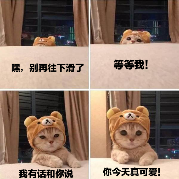 嘿,别再往下滑了等等我!我有话和你说你今天真可爱!发表情gif搞笑图片