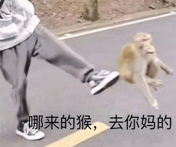 哪来的猴,去你妈的发表情gif搞笑图片