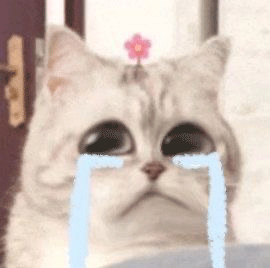 微笑小猫表情包 哭了发表情gif搞笑图片