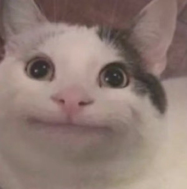 猫猫头表情包发表情gif搞笑图片