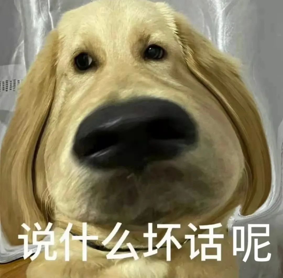 说什么坏话呢发表情gif搞笑图片