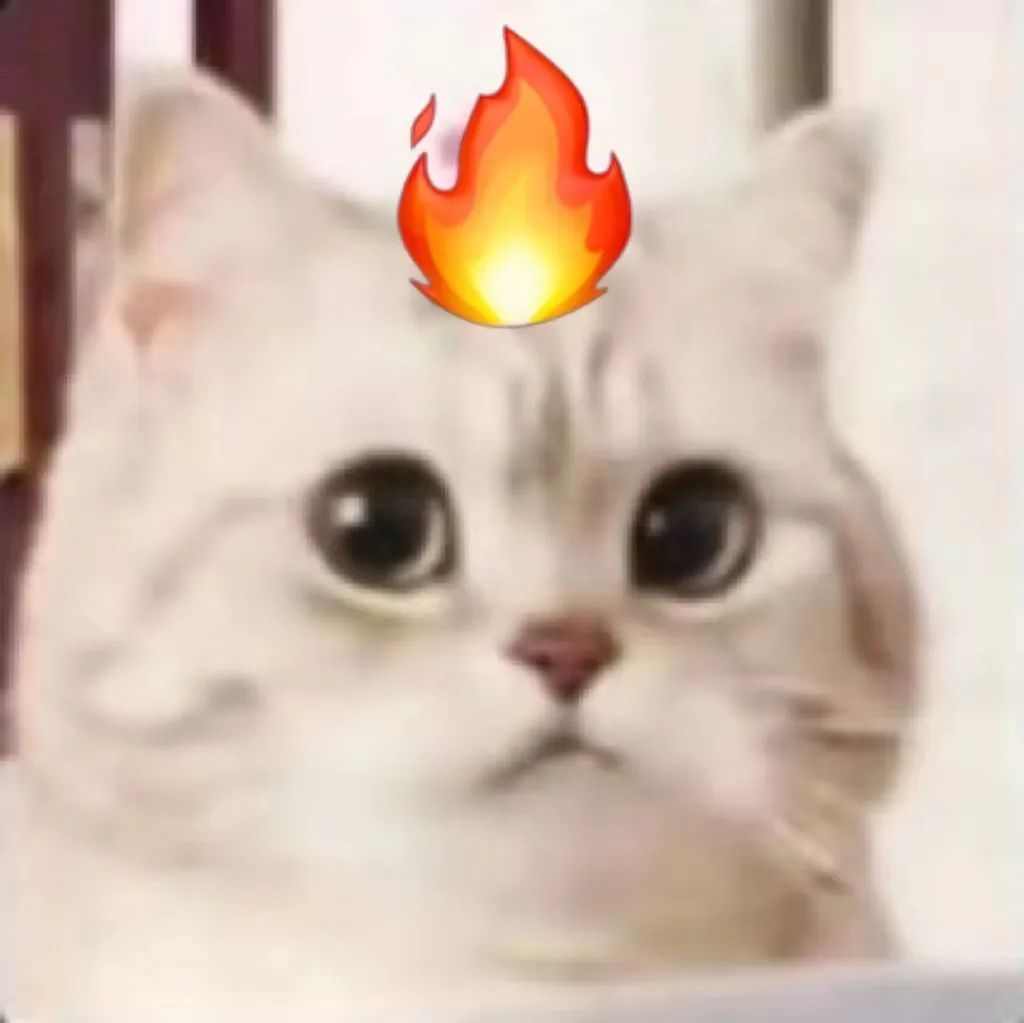 微笑小猫表情包 生气了发表情gif搞笑图片