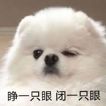 睁一只眼闭一只眼发表情gif搞笑图片