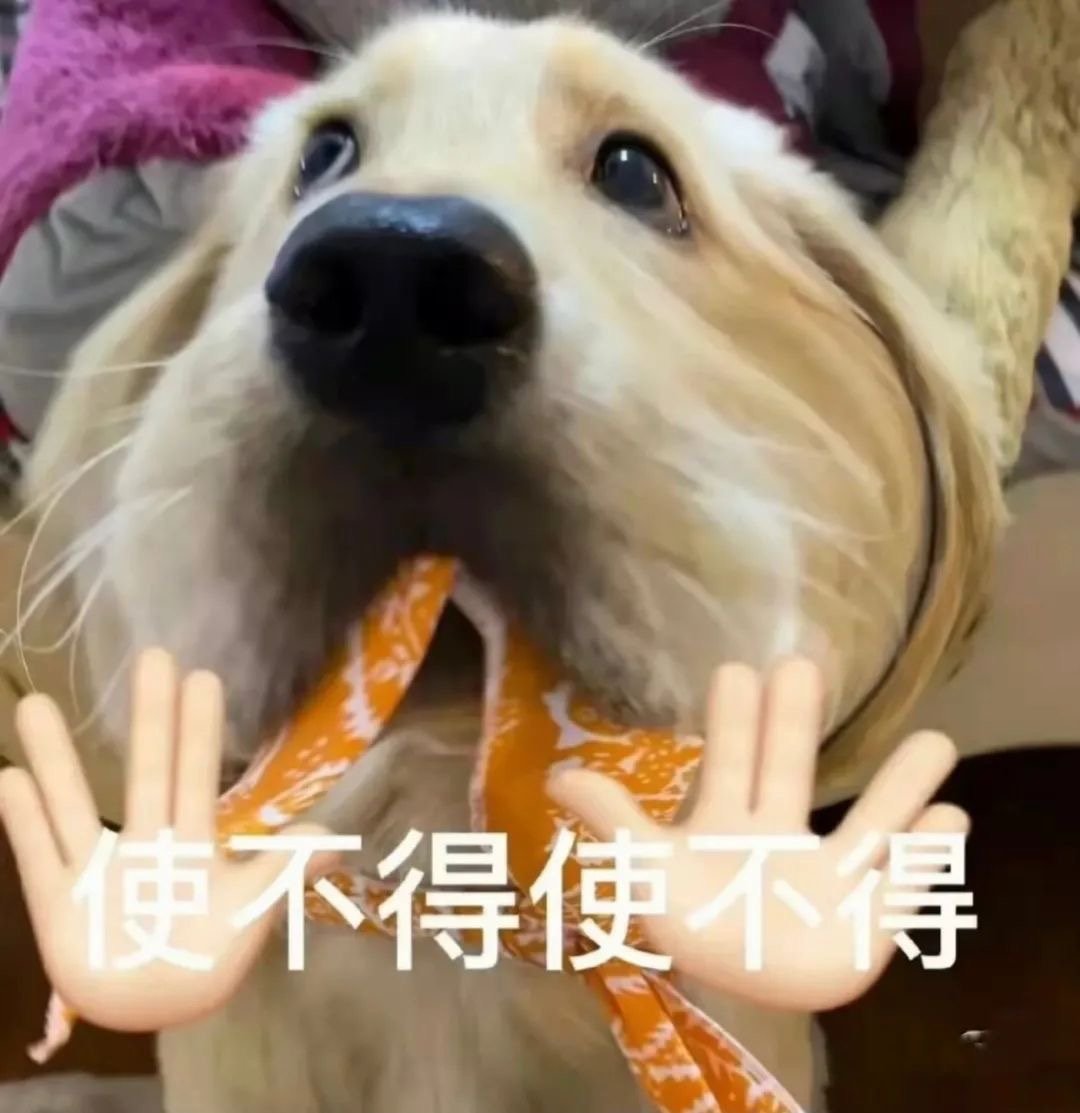 使不得使不得发表情gif搞笑图片