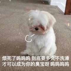 烦死了 呜呜呜到底多久不洗澡才可以成为你的臭宝呀呜呜发表情gif搞笑图片