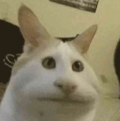 猫猫头表情包发表情gif搞笑图片