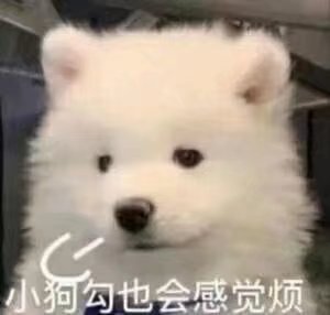 小狗勾也会感觉烦发表情gif搞笑图片