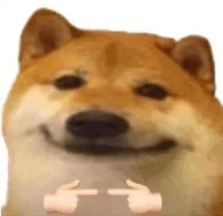 狗狗揣手手表情包发表情gif搞笑图片