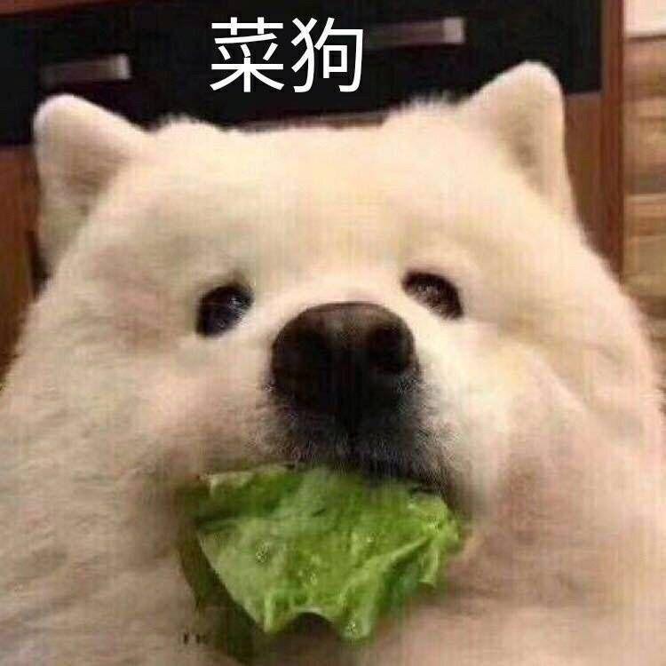 菜狗发表情gif搞笑图片