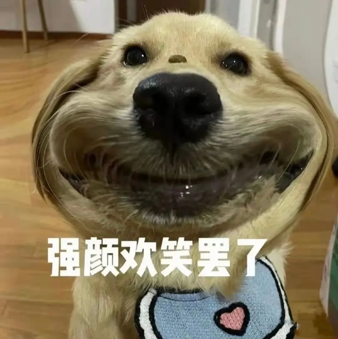 强颜欢笑罢了发表情gif搞笑图片