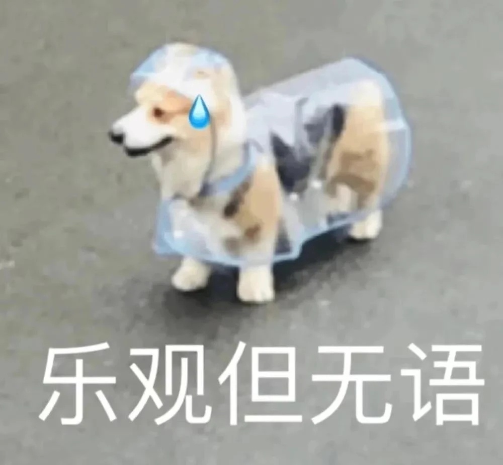 乐观但无语发表情gif搞笑图片