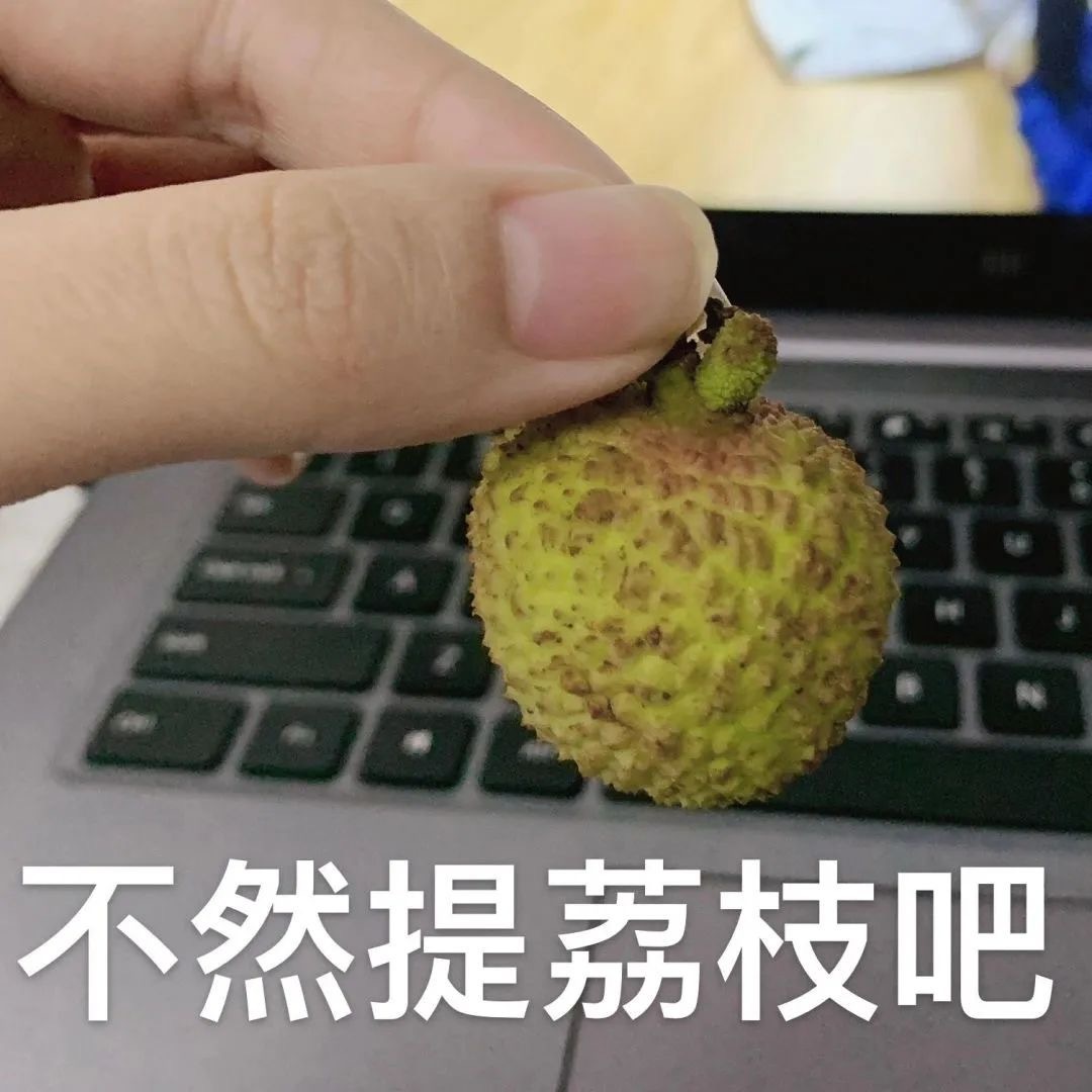 不然提离职吧 提荔枝发表情gif搞笑图片