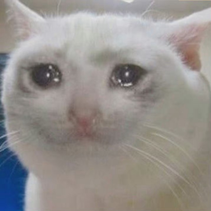 流泪猫猫头发表情gif搞笑图片