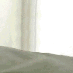 鲜花送老婆发表情gif搞笑图片