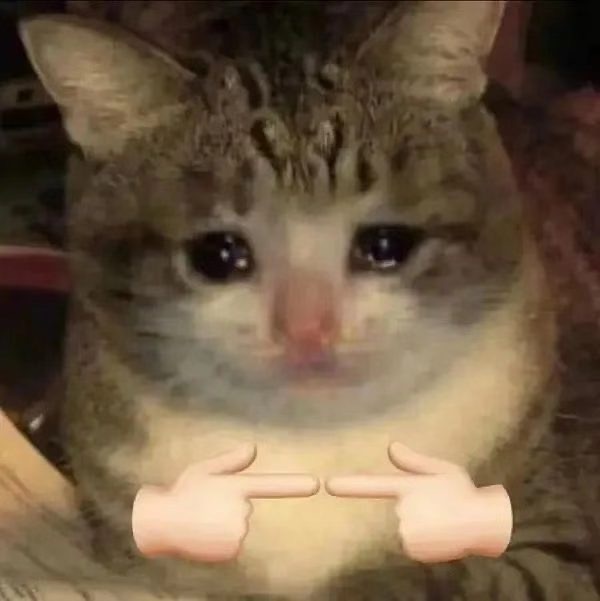 流泪猫猫头揣手手表情包发表情gif搞笑图片