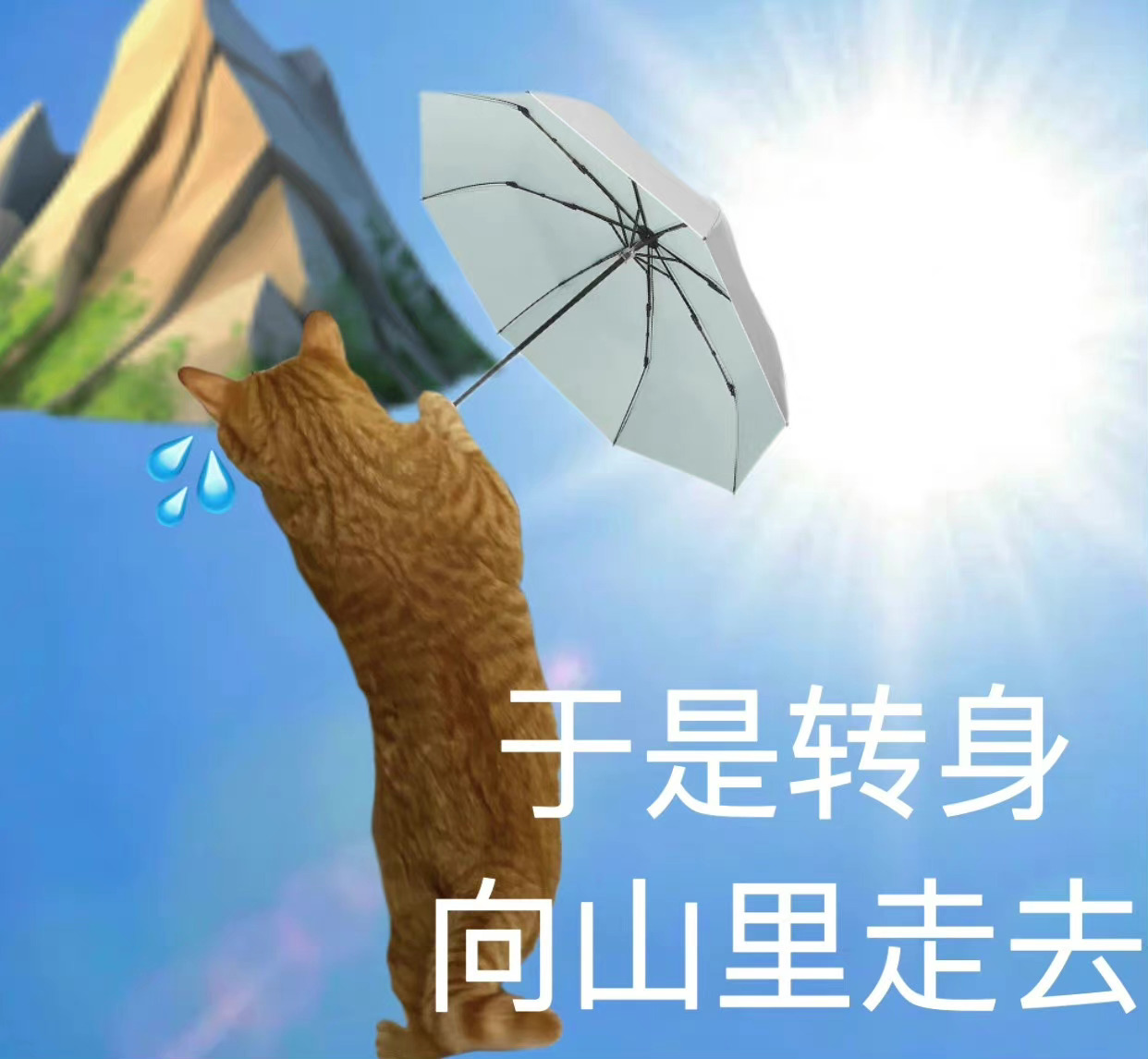 于是转身向山里走去发表情gif搞笑图片