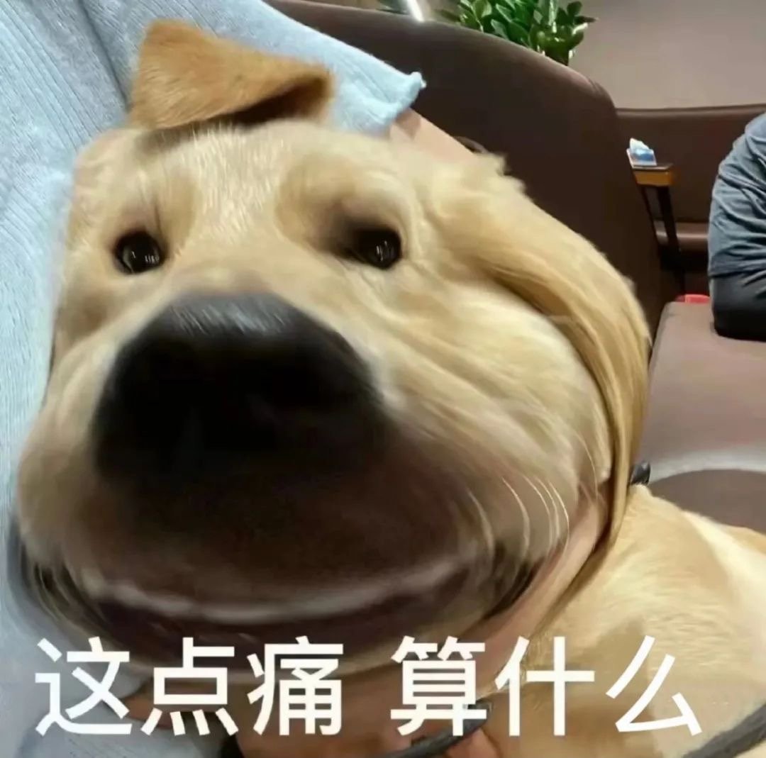 这点痛算什么发表情gif搞笑图片