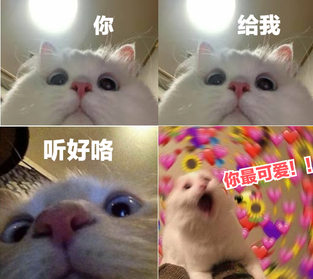 你给我听好咯你最可爱!发表情gif搞笑图片
