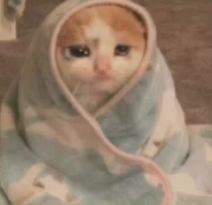 流泪猫猫头发表情gif搞笑图片