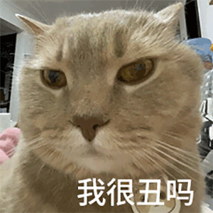 我很丑吗发表情gif搞笑图片