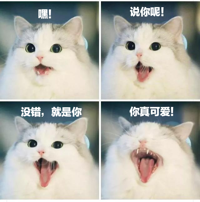 嘿!说你呢!没错,就是你你真可爱!发表情gif搞笑图片